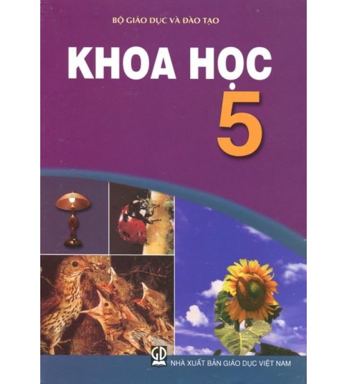 Phiếu bài tập cuối tuần Tiếng Anh lớp 5 nâng cao - Tuần 9