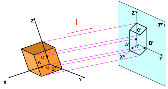 Công nghệ 11 Bài 5