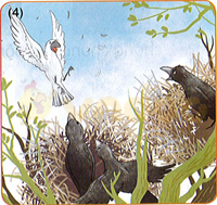 Bài 60: Ôn tập và kể chuyện