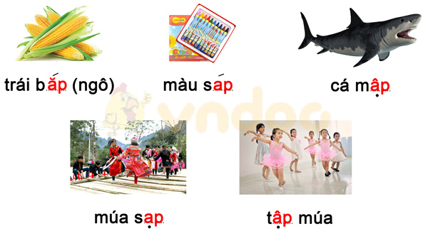 Phiếu bài tập cuối tuần Tiếng Việt lớp 1 Nâng cao - Tuần 11 - Phiếu 1