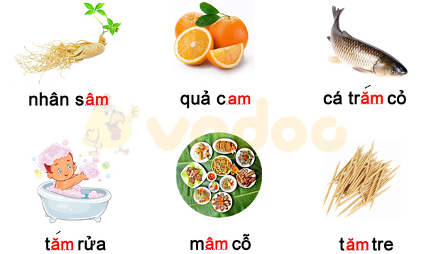 Phiếu bài tập cuối tuần Tiếng Việt lớp 1 Nâng cao - Tuần 13 - Số 1