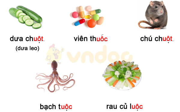 Phiếu bài tập cuối tuần Tiếng Việt lớp 1 Nâng cao - Tuần 14 - Phiếu 1