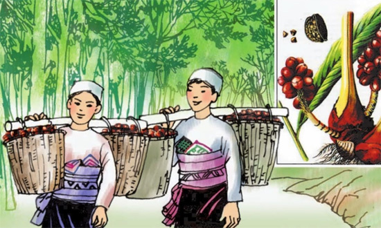 Tập đọc Mùa thảo quả