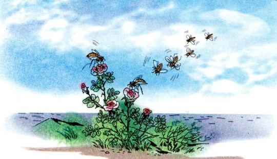 Tập đọc lớp 5