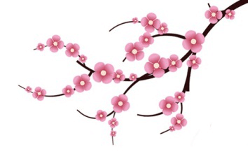 Trắc nghiệm từ vựng Unit 5 lớp 8: Festivals in Vietnam