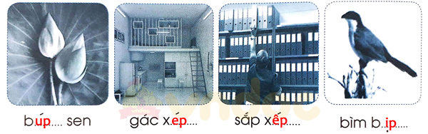 Bài 56: ep êp ip up