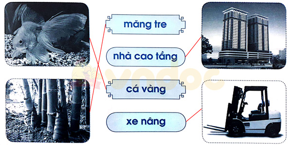 Giải Vở bài tập Tiếng Việt lớp 1 trang 53 Bài 59: ang ăng âng