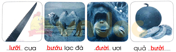 Giải Vở bài tập Tiếng Việt lớp 1 trang 61 Bài 69: ươi ươu