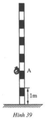 Giải Toán lớp 6 Bài 2: Tập hợp các số nguyên