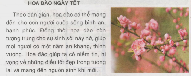 Đề thi học kì 1 lớp 4 môn Tin học