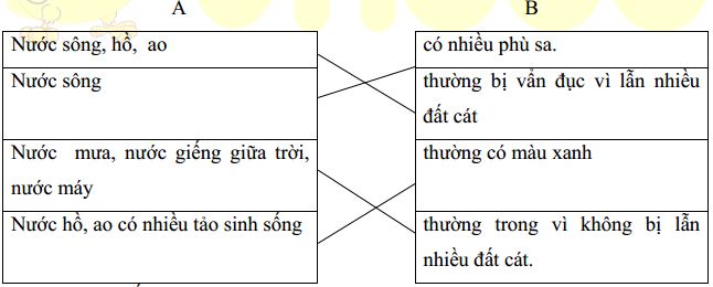 Đáp án đề thi học kì 1 lớp 4 môn Khoa học trường Tiểu học Thiện Kế A, Vĩnh Phúc năm học 2020 - 2021