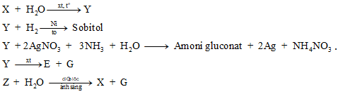 Trắc nghiệm hóa học 12 