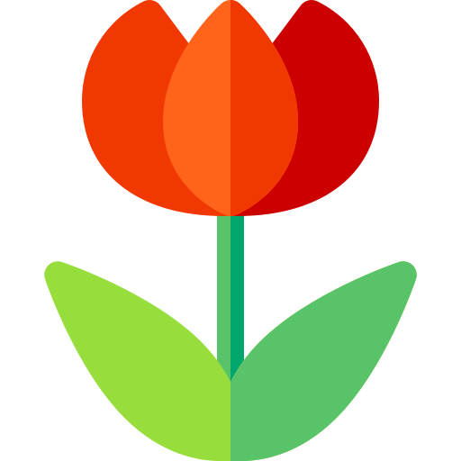 Đề thi tiếng Anh lớp 1 học kì 1 i-learn Smart Start năm 2020 số 4