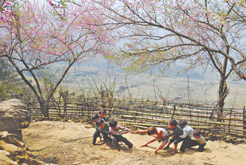 Hãy giới thiệu 1 trò chơi hoặc 1 lễ hội ở quê em