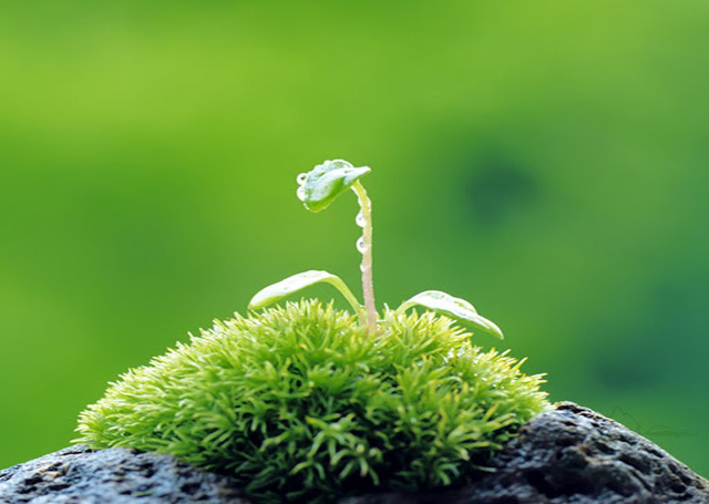 Nghị luận xã hội về thái độ sống tích cực