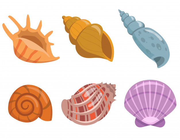 Đề thi học kì 1 lớp 3 môn Tiếng Anh Family and Friends