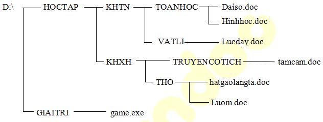 Đề thi học kì 1 lớp 6 môn Tin học