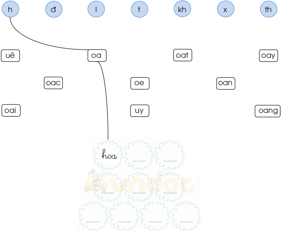 Chủ đề 19: Ngàn hoa khoe sắc