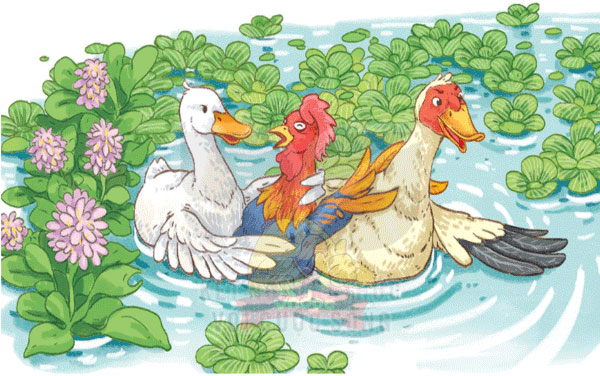 Giải bài tập Tiếng Việt 1 trang 14, 15, 16, 17 Bài 4: Giải thưởng tình bạn