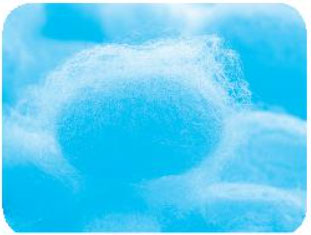 Giải VBT Tiếng Việt 1 trang 16, 17, 18, 19, 20 Chủ đề 22: Mưa và nắng