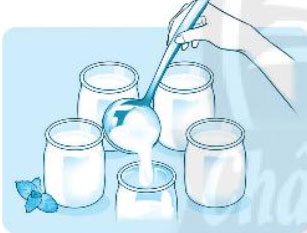 Giải VBT Tiếng Việt 1 trang 16, 17, 18, 19, 20 Chủ đề 22: Mưa và nắng