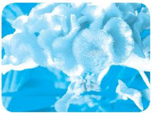 Giải VBT Tiếng Việt 1 trang 16, 17, 18, 19, 20 Chủ đề 22: Mưa và nắng