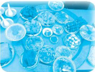 Giải VBT Tiếng Việt 1 trang 21, 22, 23, 24, 25, 26 Chủ đề 23: Tết quê em