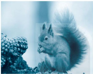 Giải vở bài tập Tiếng Việt 1 trang 17, 18, 19 Bài 5: Bữa cơm gia đình