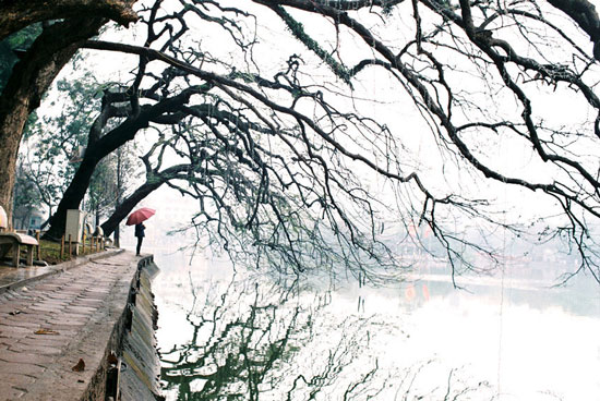 Viết thư tả lại khu phố hay thôn xóm, bản làng nơi mình ở vào một ngày mùa đông giá lạnh