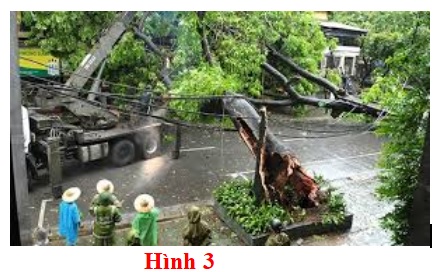 Giáo án Địa 8 bài 4: Thực hành phân tích hoàn lưu gió mùa ở Châu Á theo Công văn 5512