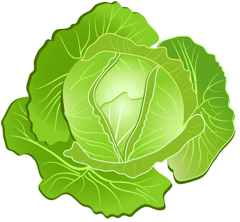 Bài tập Tiếng Anh lớp 5 Unit 12 nâng cao: Don’t ride your bike too fast