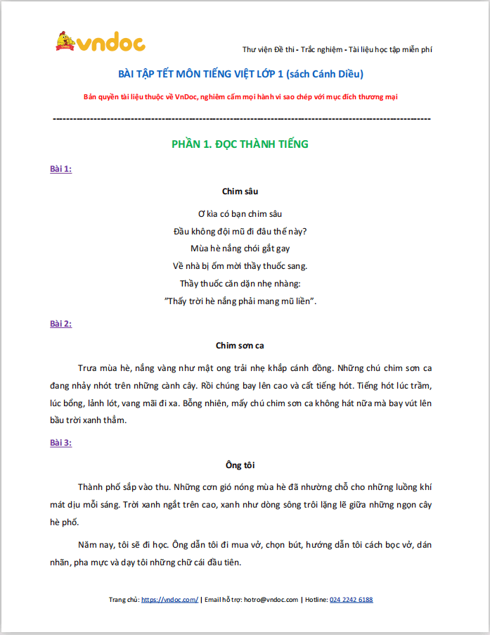 Bài tập Tết lớp 1 môn Tiếng Việt sách Cánh Diều