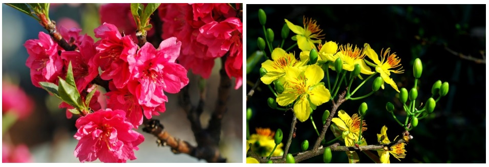 Giáo án Địa 8 bài 43: Miền Nam Trung Bộ và Nam Bộ theo Công văn 5512