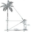 Trọn bộ Giáo án Hình học lớp 9 cả năm