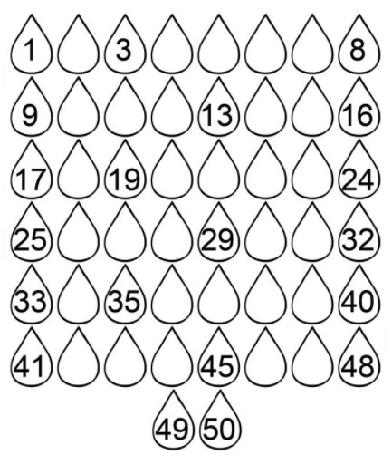 Bài tập Tết môn Toán lớp 1 sách Cánh Diều năm 2021