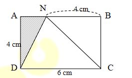 Đề cương ôn tập Tết môn Toán lớp 5