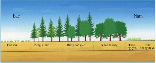 Giáo án Địa lí 7 bài 59