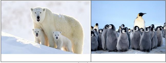 Giáo án Địa lí 7 bài 21