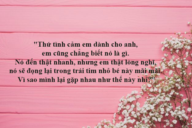 Tr&agrave; xanh l&agrave; g&igrave;?