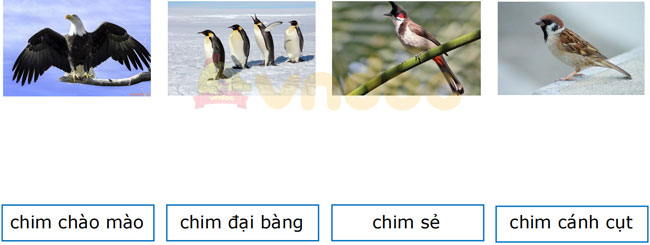 Bài tập Tết lớp 2 môn Tiếng Việt có đáp án