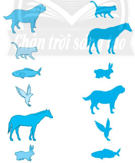 Chủ đề 24: Những người bạn đầu tiên