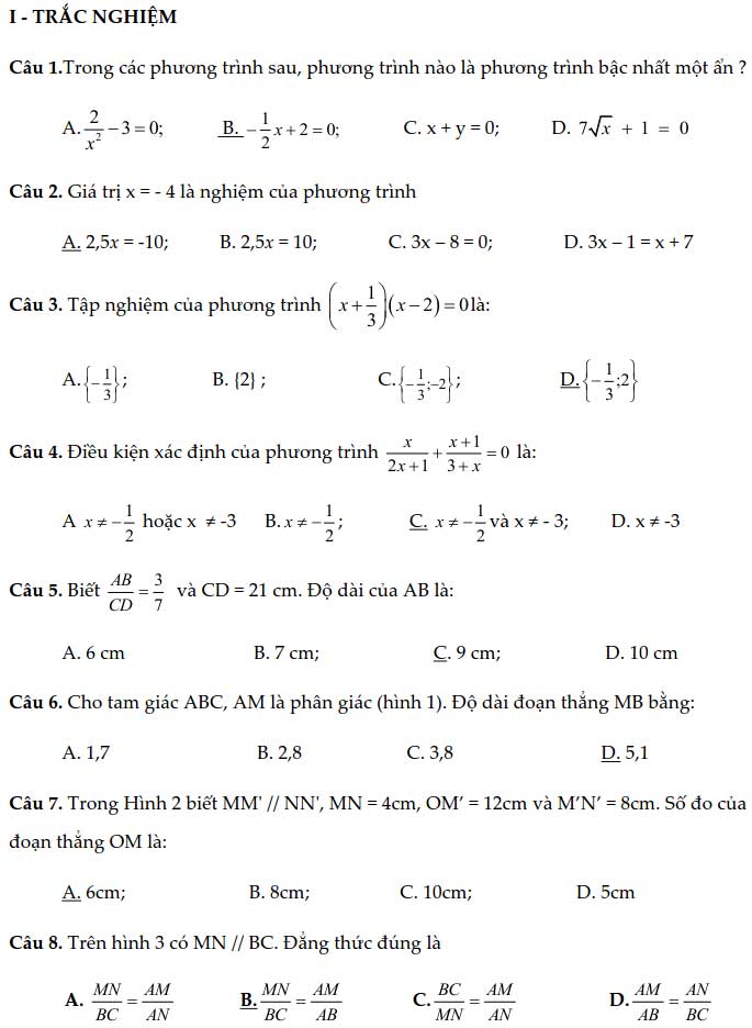 Đề thi giữa học kì 2 lớp 8 môn Toán năm 2020 - 2021
