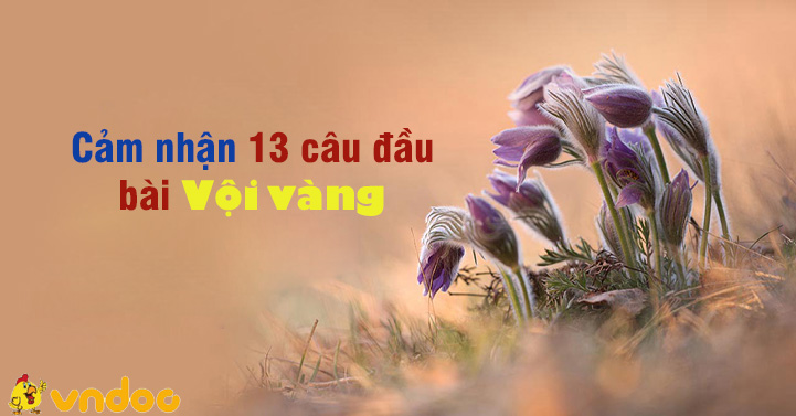Cảm nhận 13 câu đầu bài Vội vàng