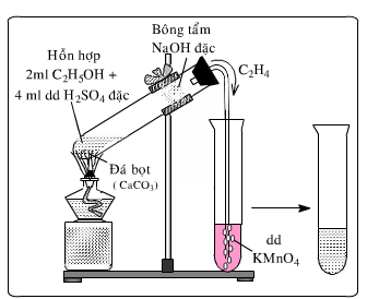 Thí nghiệm bài 34 hóa 11