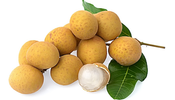 Đoạn văn tả một thứ quả: Tả quả nhãn