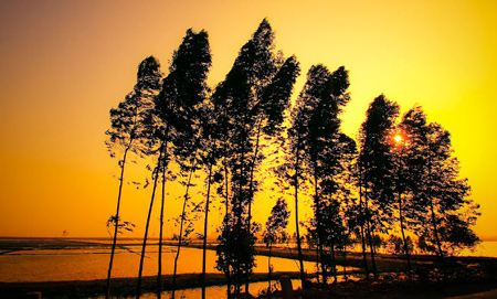 Tả cảnh hoàng hôn trên quê hương em lớp 5