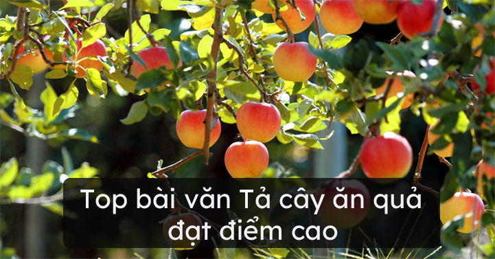 Tả cây ăn quả lớp 4 Hay Chọn Lọc (288 mẫu)