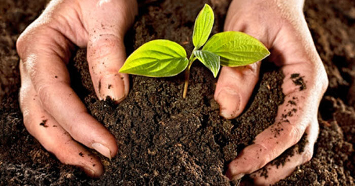 Ăn quả nhớ kẻ trồng cây