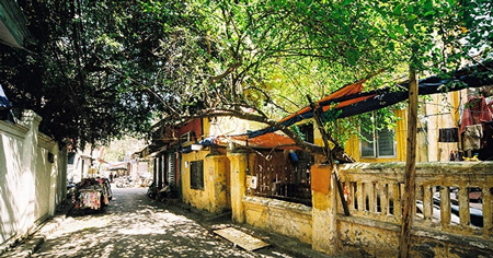 Viết đoạn văn tả một buổi trưa mùa hè lớp 6