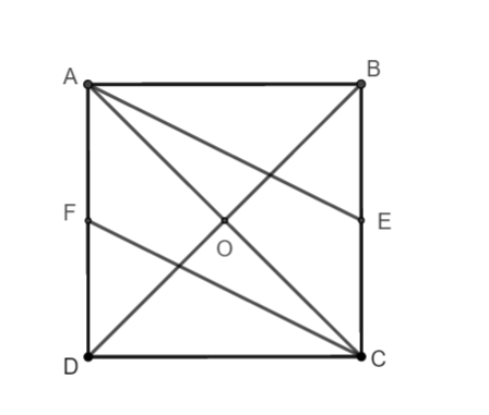 Cho hình vuông ABCD tâm O tính độ dài vecto
